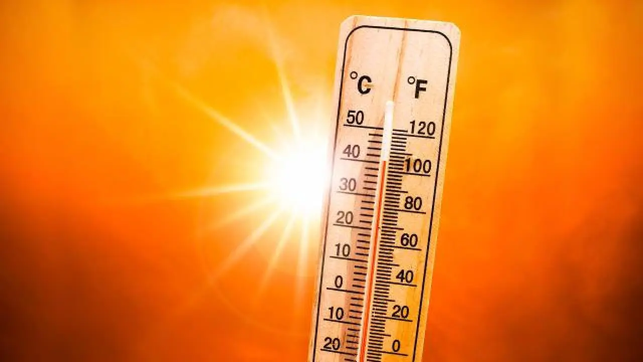 Aşırı Sıcaklar: İklim Değişikliğinin Tehlikeli Etkileri